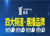 廣西青龍化學建材有限公司與我司簽訂網(wǎng)站設(shè)協(xié)議