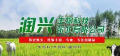 潤*生物科技張北有限公司網(wǎng)站設(shè)計(jì)基本流程