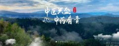 普洱淞*醫(yī)藥集團(tuán)有限公司網(wǎng)站建設(shè)新一代自助建站、智能建站系統(tǒng)