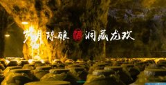 文山龍*酒業(yè)有限責任公司企業(yè)網(wǎng)站建設(shè)平面設(shè)計案例作品