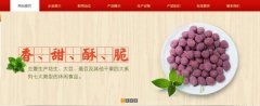 紅太*食品(榮成)有限公司制作網(wǎng)站新一代自助建站、智能建站系統(tǒng)