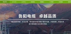 山東陽谷*陽電纜有限公司網(wǎng)站設(shè)計營銷型案例作品